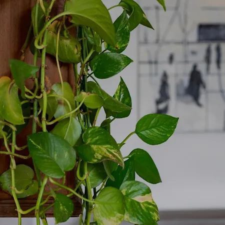 Casa D'artista - Charming + Parking Turin